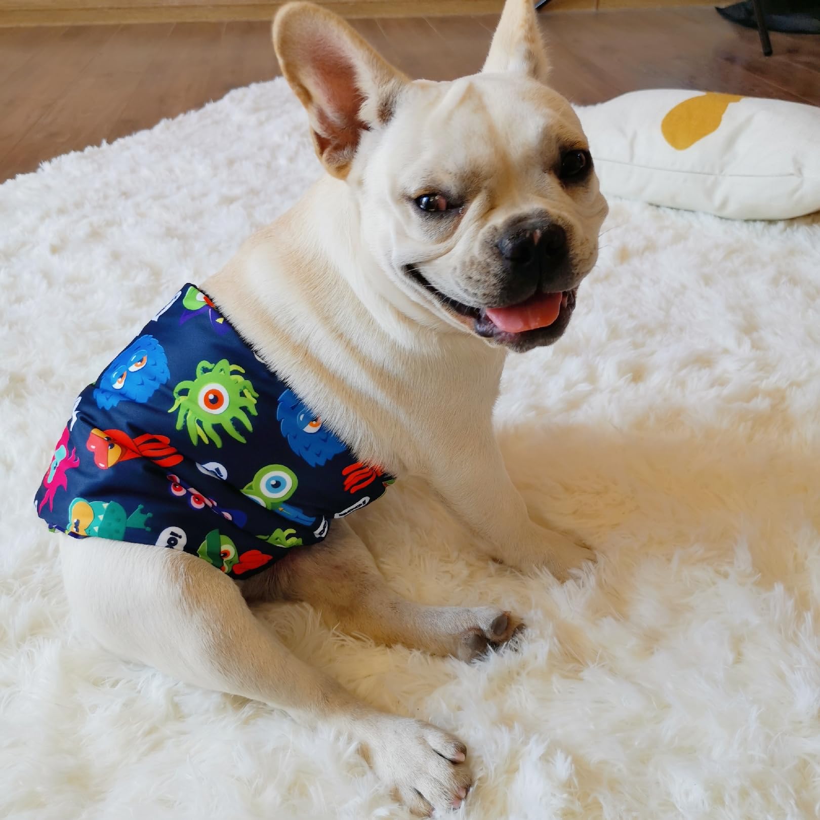 CuteBone size range XS to L helps you find the right fit for most dogs.
