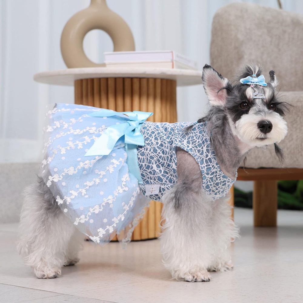 CuteBone small dog dress measuring guide helps you choose the right size for comfort.