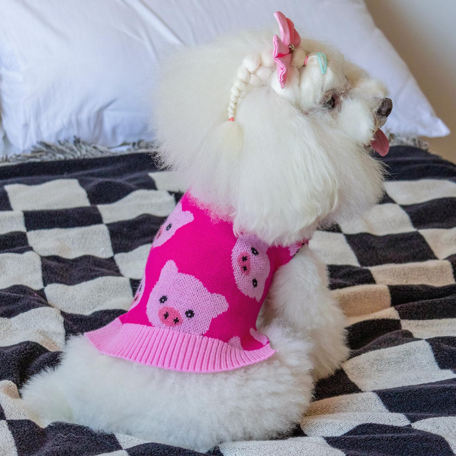 CuteBone small-dog sweater ideal for party photos and cuddles.