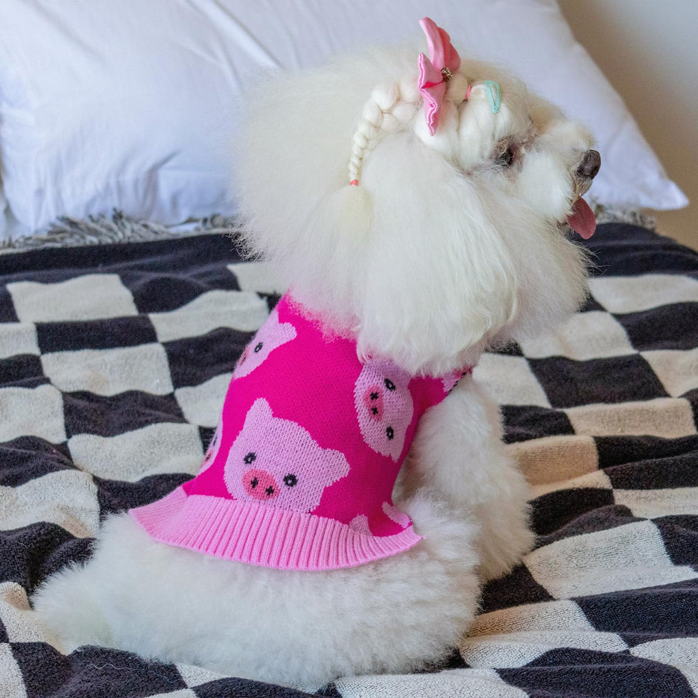 CuteBone small-dog sweater ideal for party photos and cuddles.