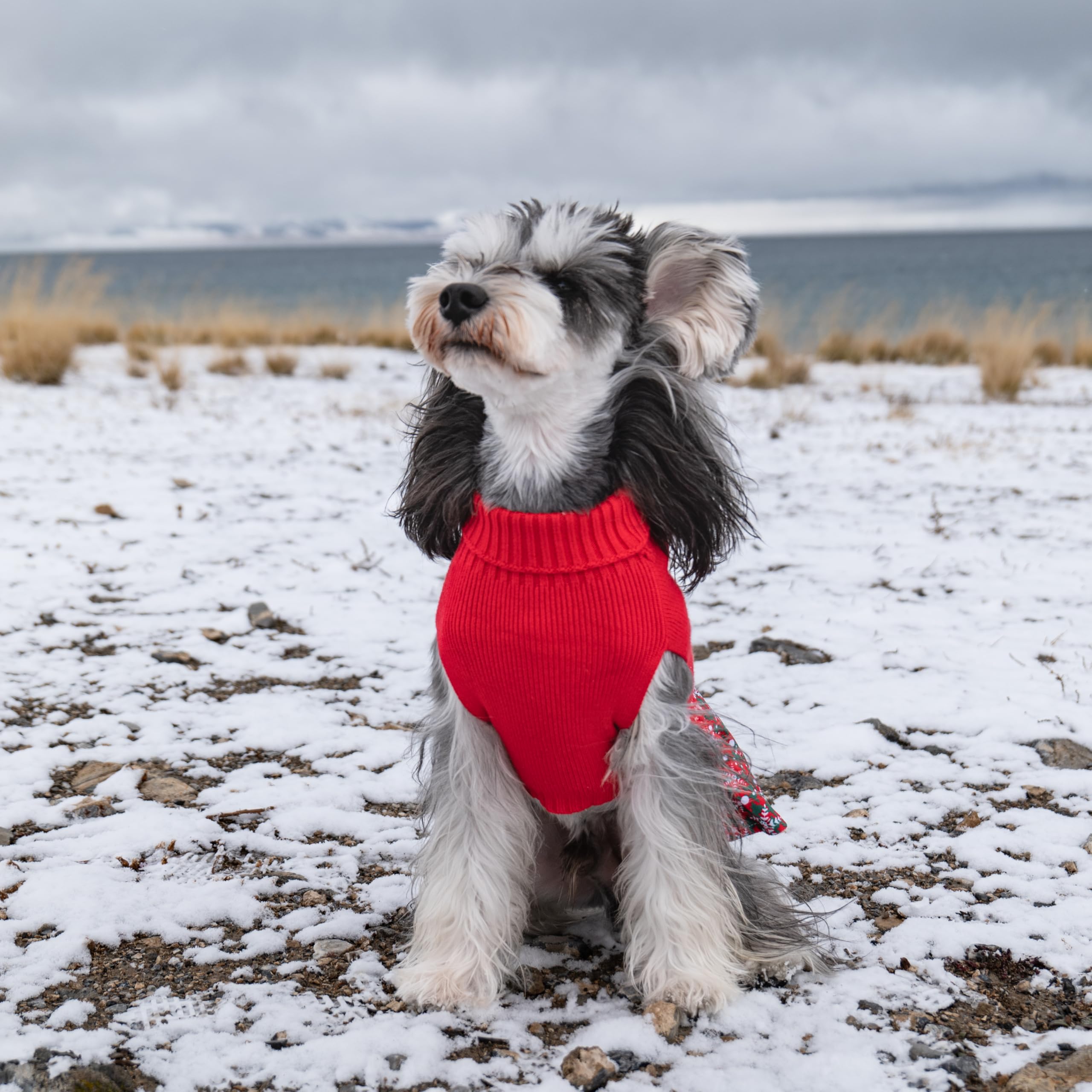 CuteBone soft acrylic fabric ensures warmth with comfortable stretch