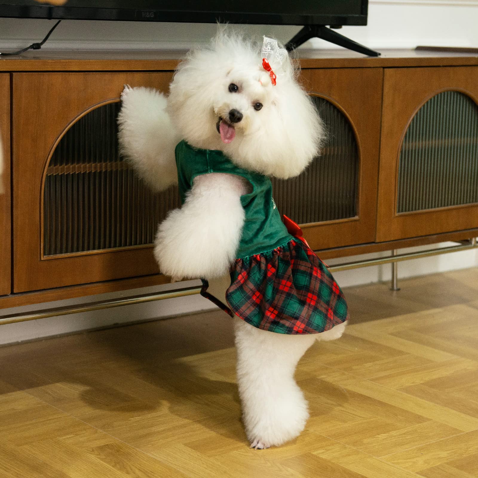 CuteBone velvet fabric is soft and stretchy for comfortable all-season wear.