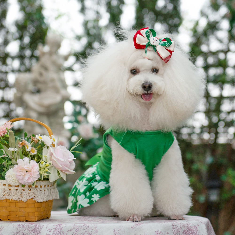 CuteBone green pullover design enables effortless dressing for small dogs.