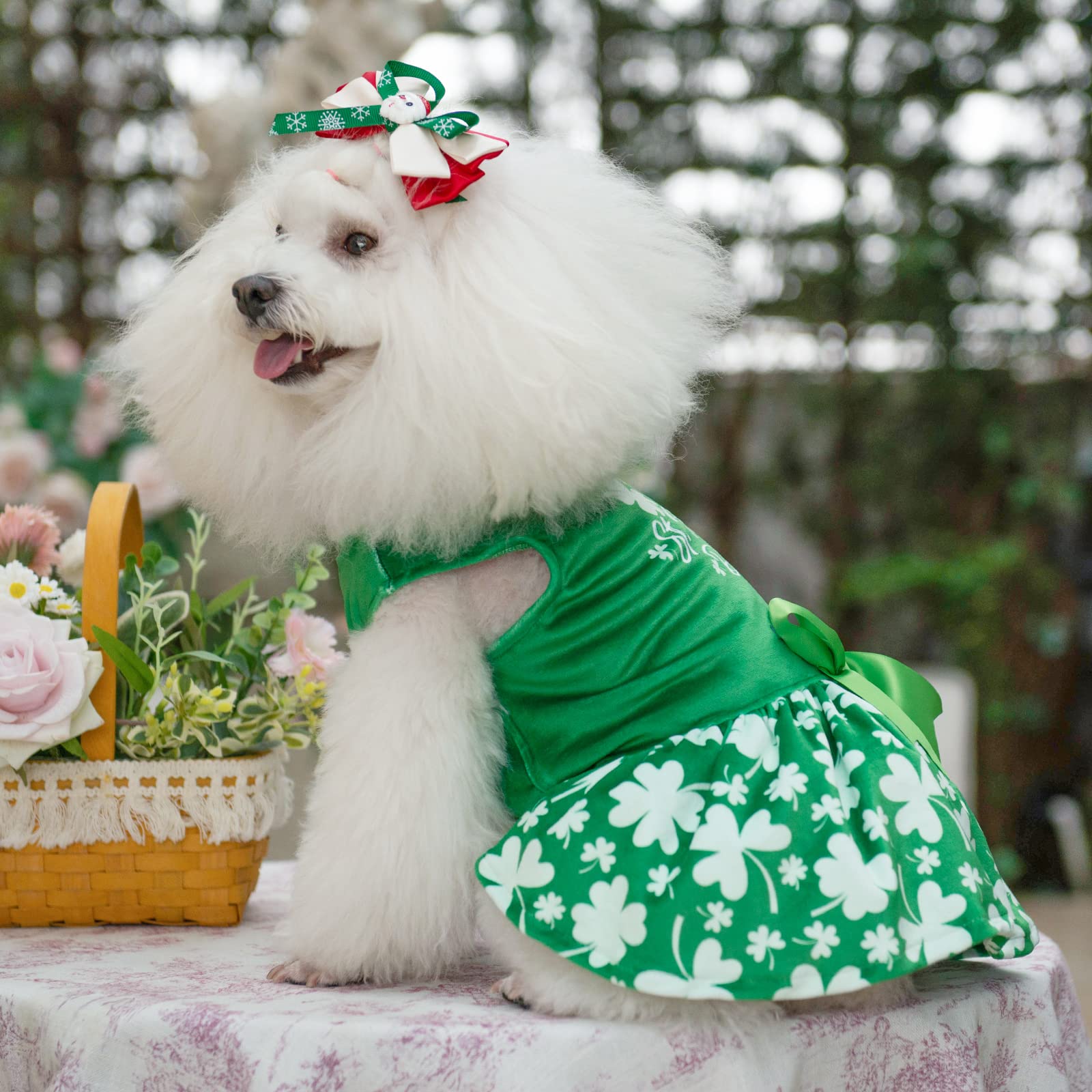 CuteBone dress with bow enhances adorable Clover-themed look.