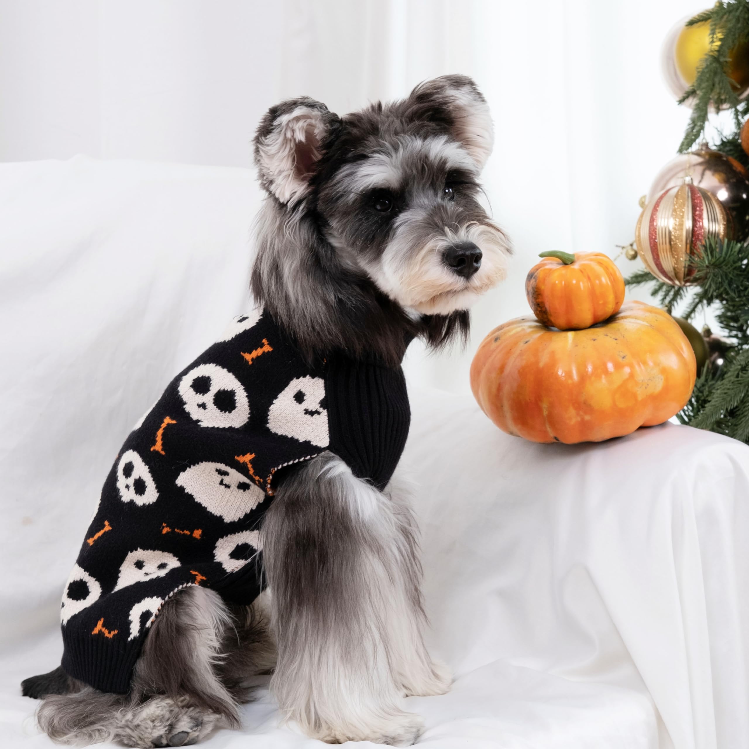 CuteBone vista trasera de la sudadera con calavera, perfecta para fiestas y salidas.