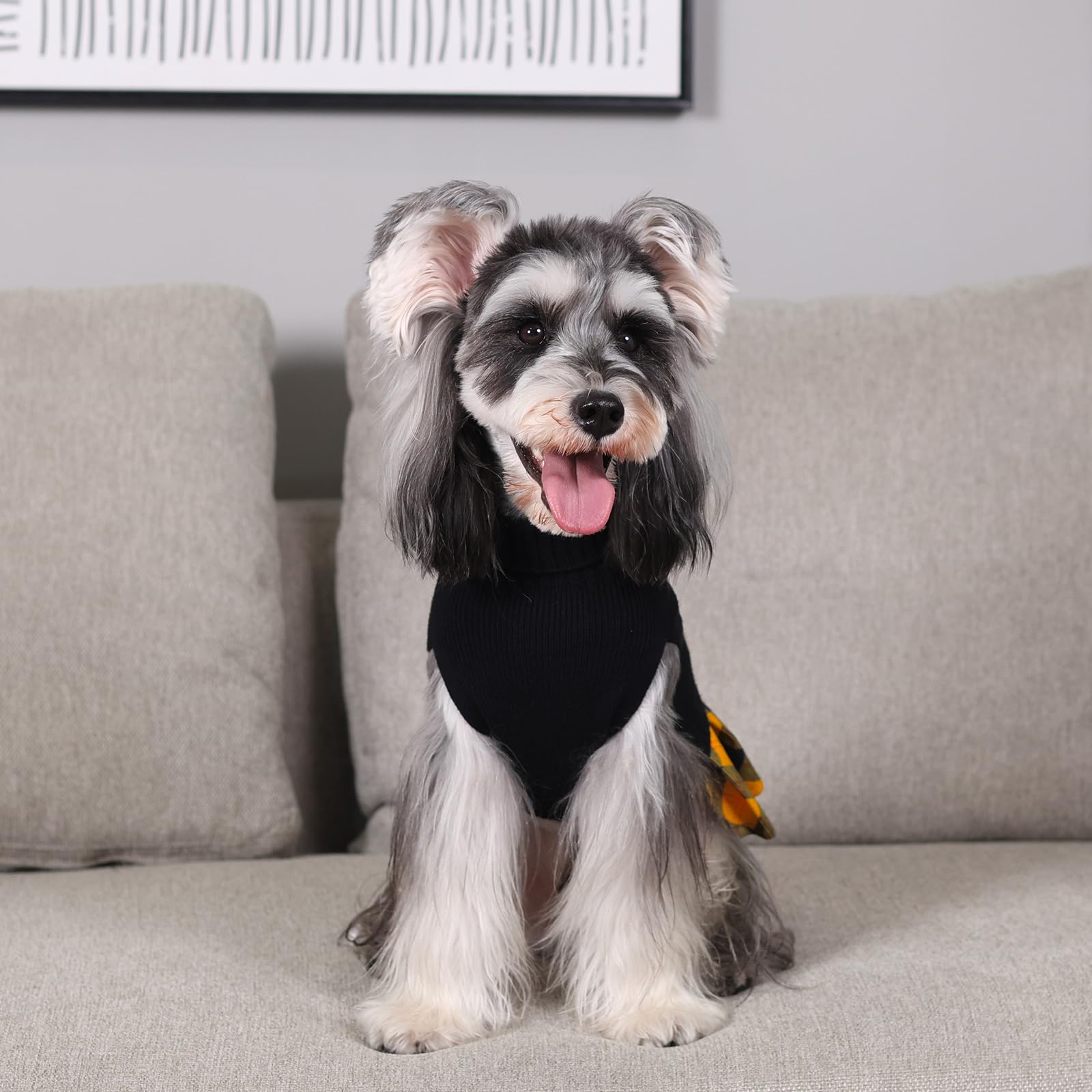 CuteBone Thanksgiving dog sweater on model highlighting festive style and comfort