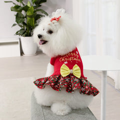 CuteBone turtleneck-bowtie puppy sweater keeps small dogs warm and stylish.