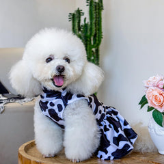 CuteBone turtleneck close-up highlights soft fabric and breathable comfort for year-round wear.
