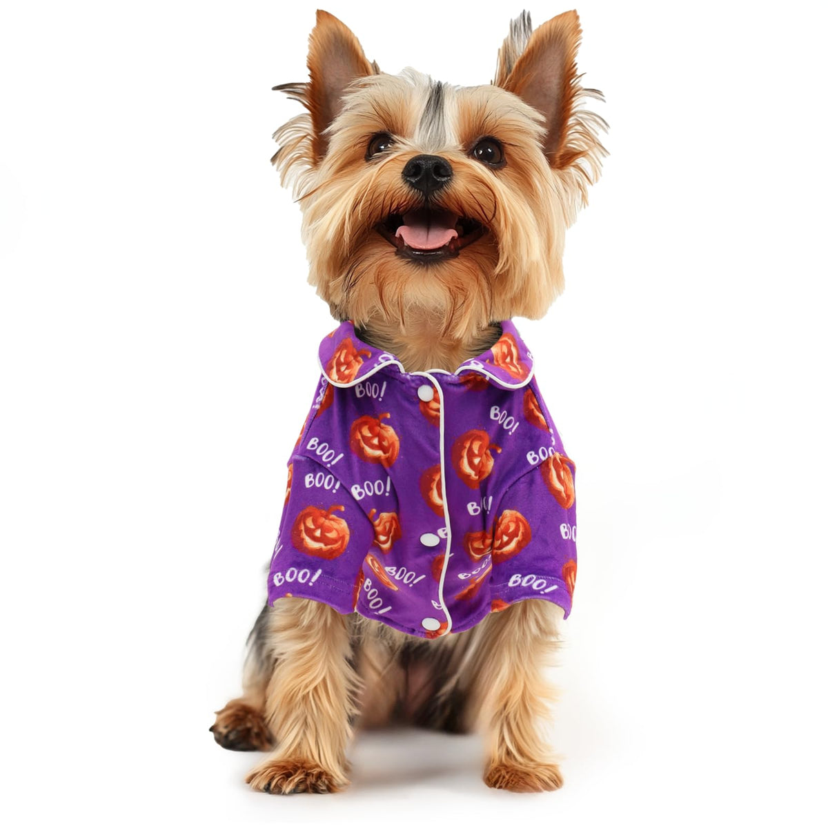 CuteBone two-leg velvet pajamas close-up fabric shows plush warmth for pets