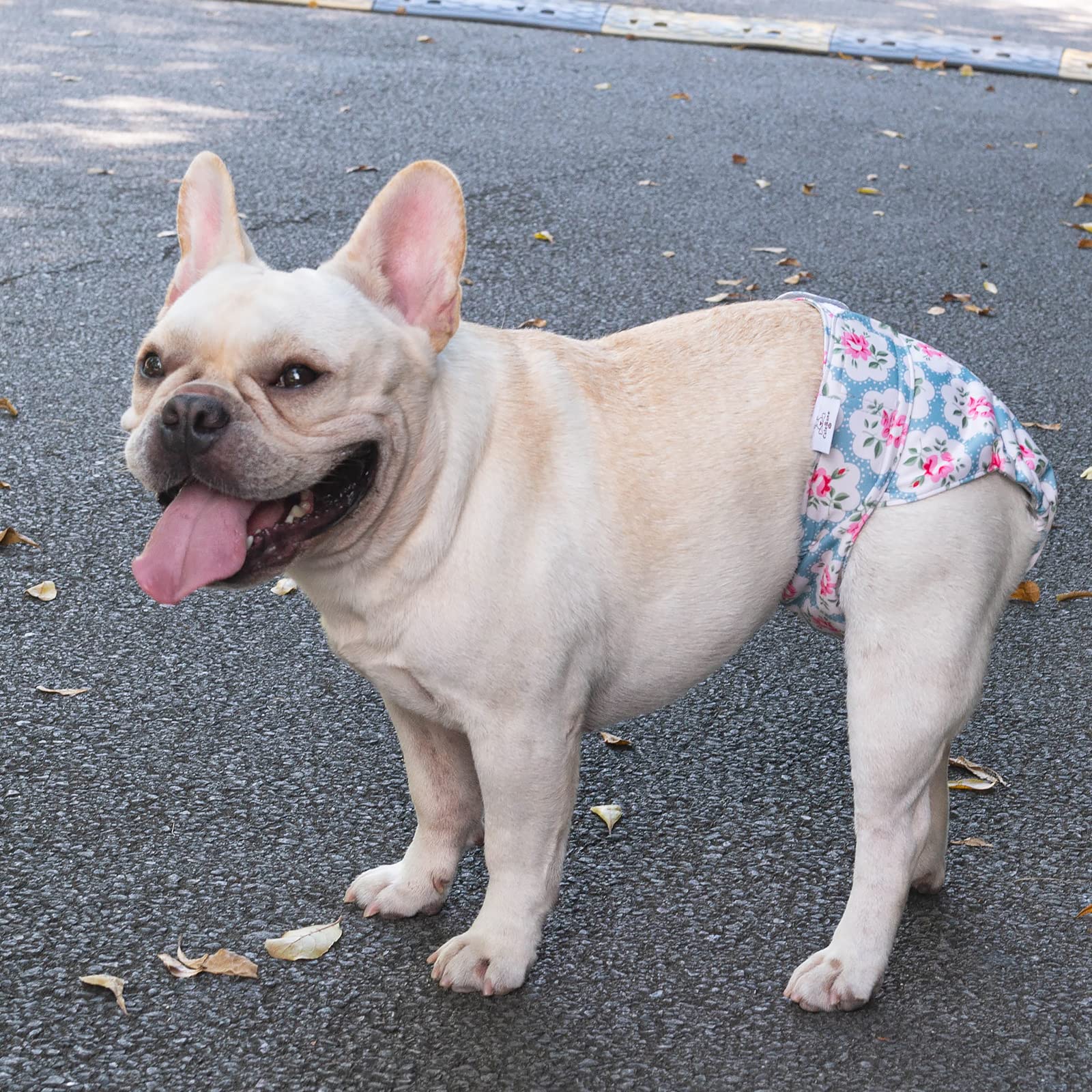 CuteBone docked-tail use case diapers support house training and heat cycles