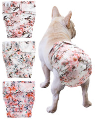 CuteBone washables for females with no-tail hole, front view shows secure fit.