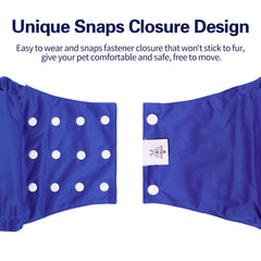 CuteBone adjustable-button belly band showing secure fit for dogs.