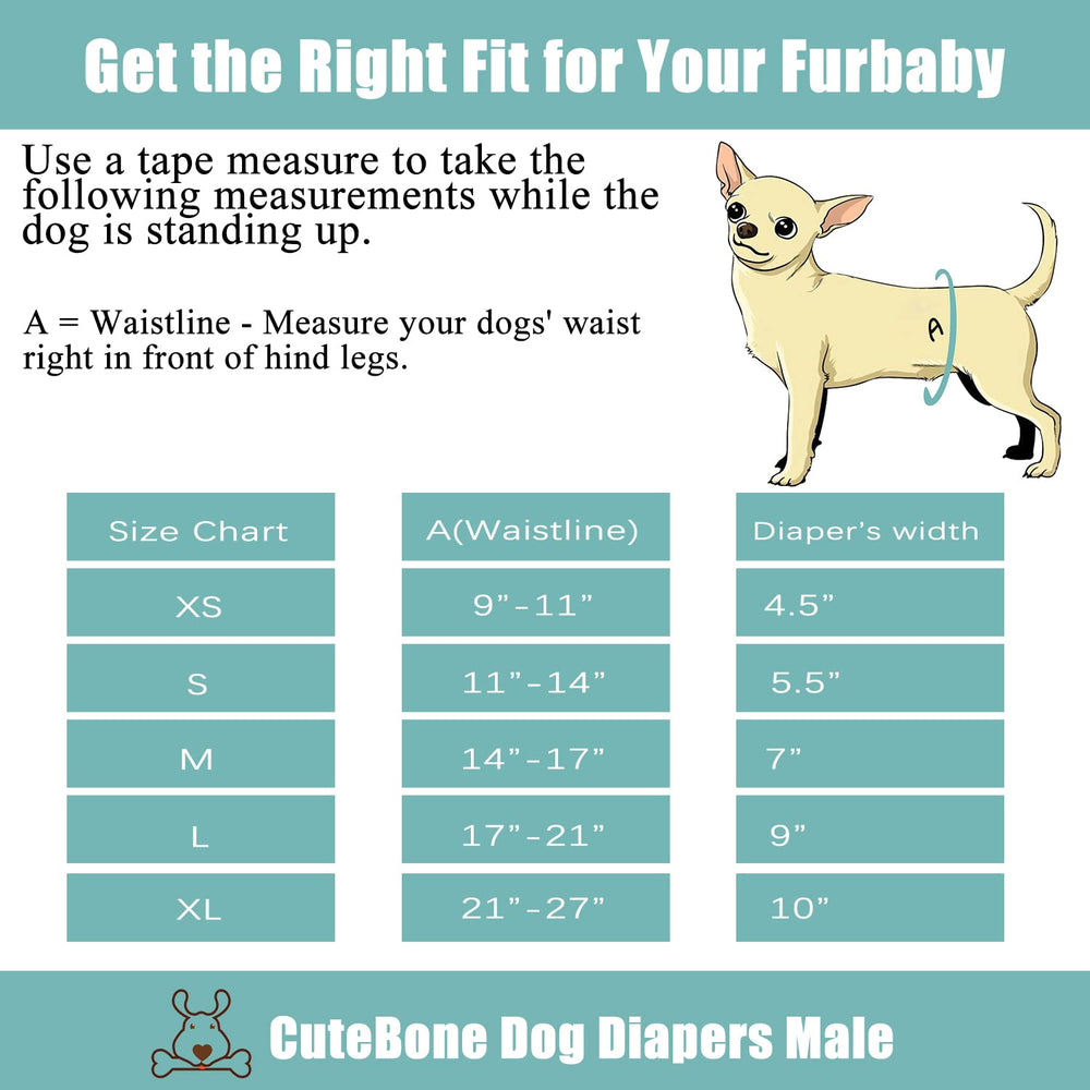CuteBone stylish designs keep male dogs protected and fashionable.