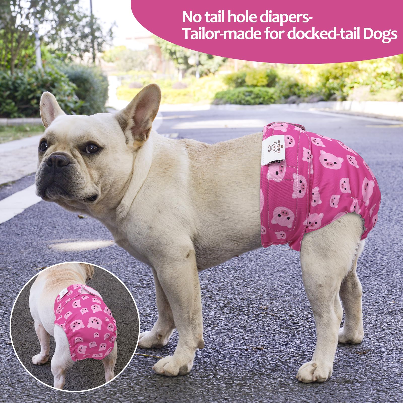 CuteBone no-tail-hole back view with snug, leak-protected wrap