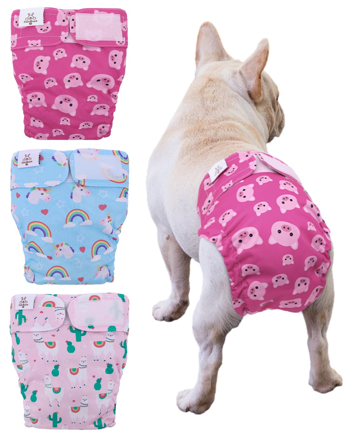 CuteBone no-tail-hole front view showing secure fit for docked-tail dogs
