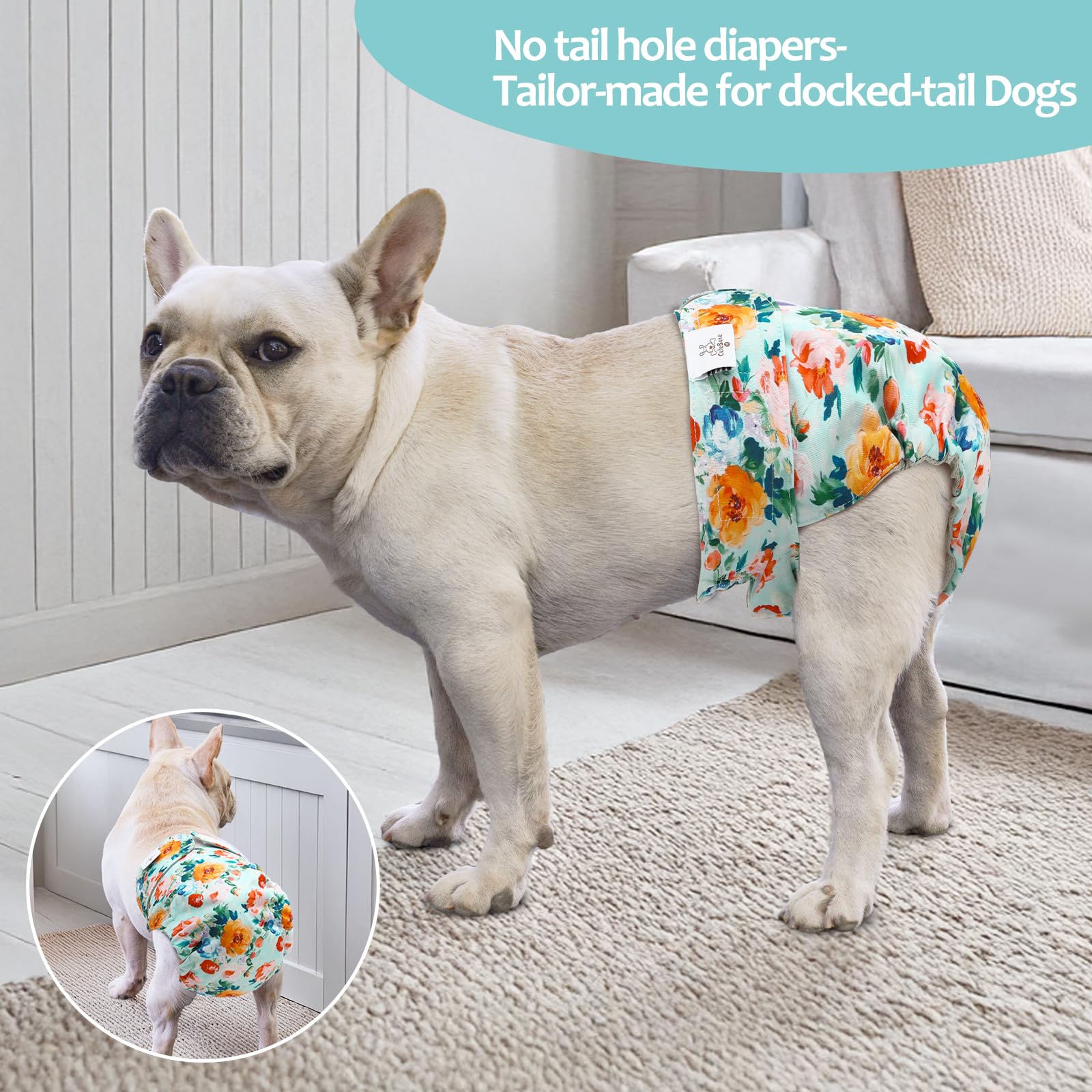 CuteBone dog diaper waterproof shell prevents leaks during potty sessions.