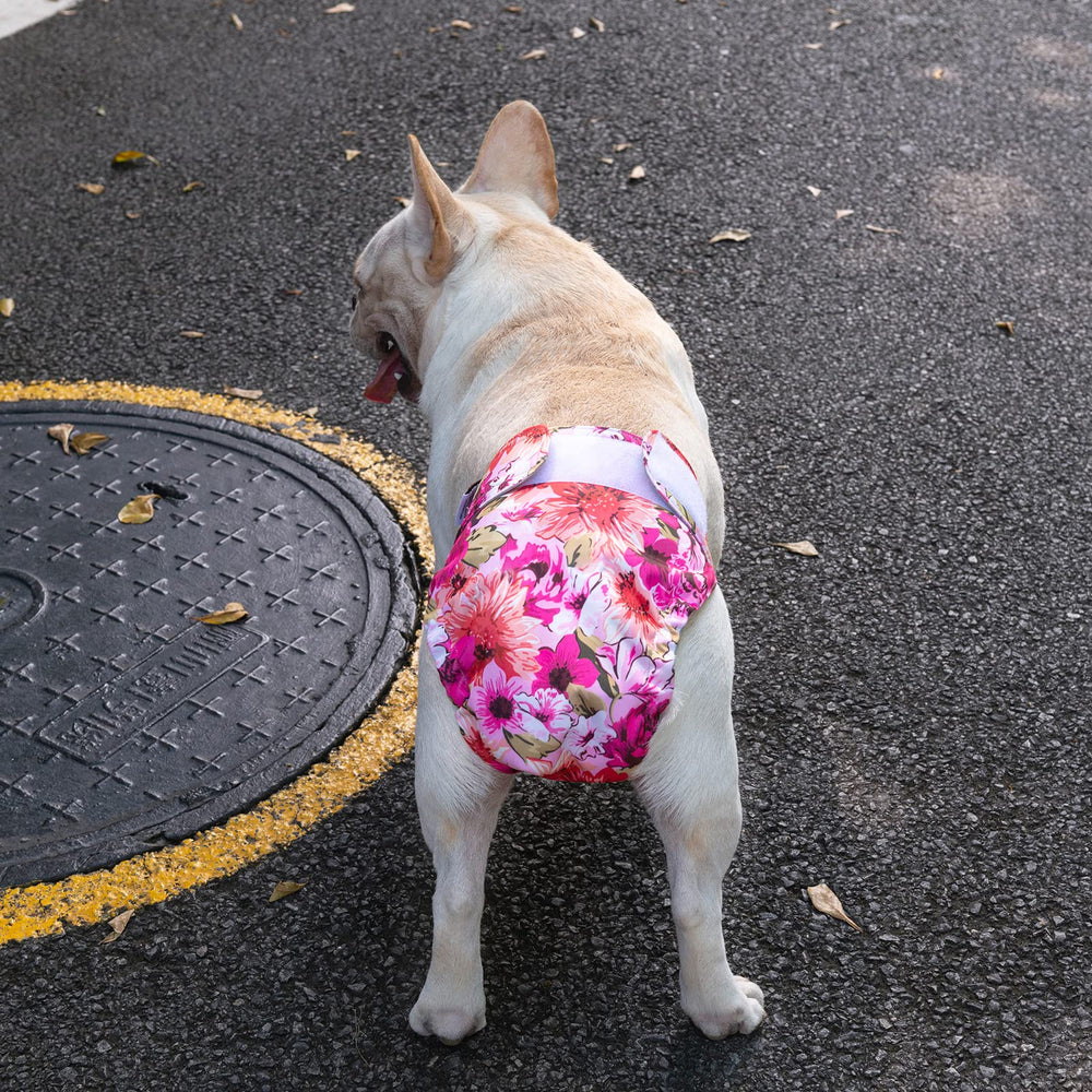 CuteBone soft dry inner lining keeps dogs comfortable during wear