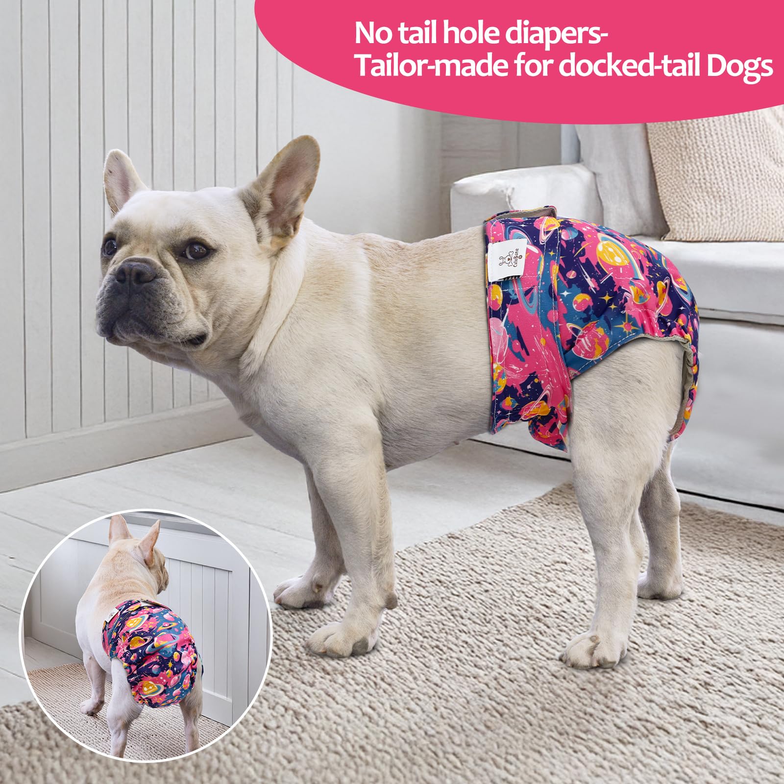 CuteBone Waterproof Exterior Shell with Absorbent Pads reduces leakage.