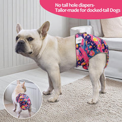 CuteBone Waterproof Exterior Shell with Absorbent Pads reduces leakage.
