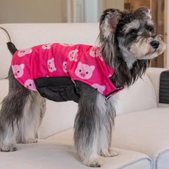 CuteBone windproof and waterproof coat close-up showcases durable fabric ready for light rain.