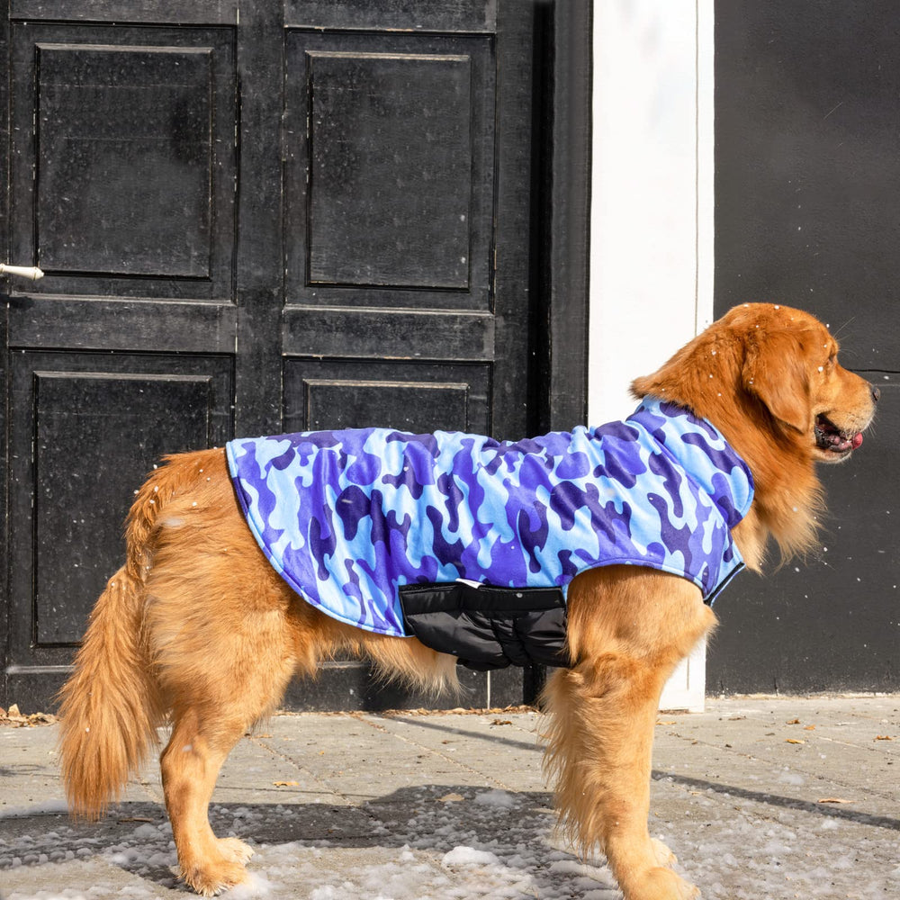 CuteBone winter dog coat adjustable-straps ensure a secure outdoor fit.