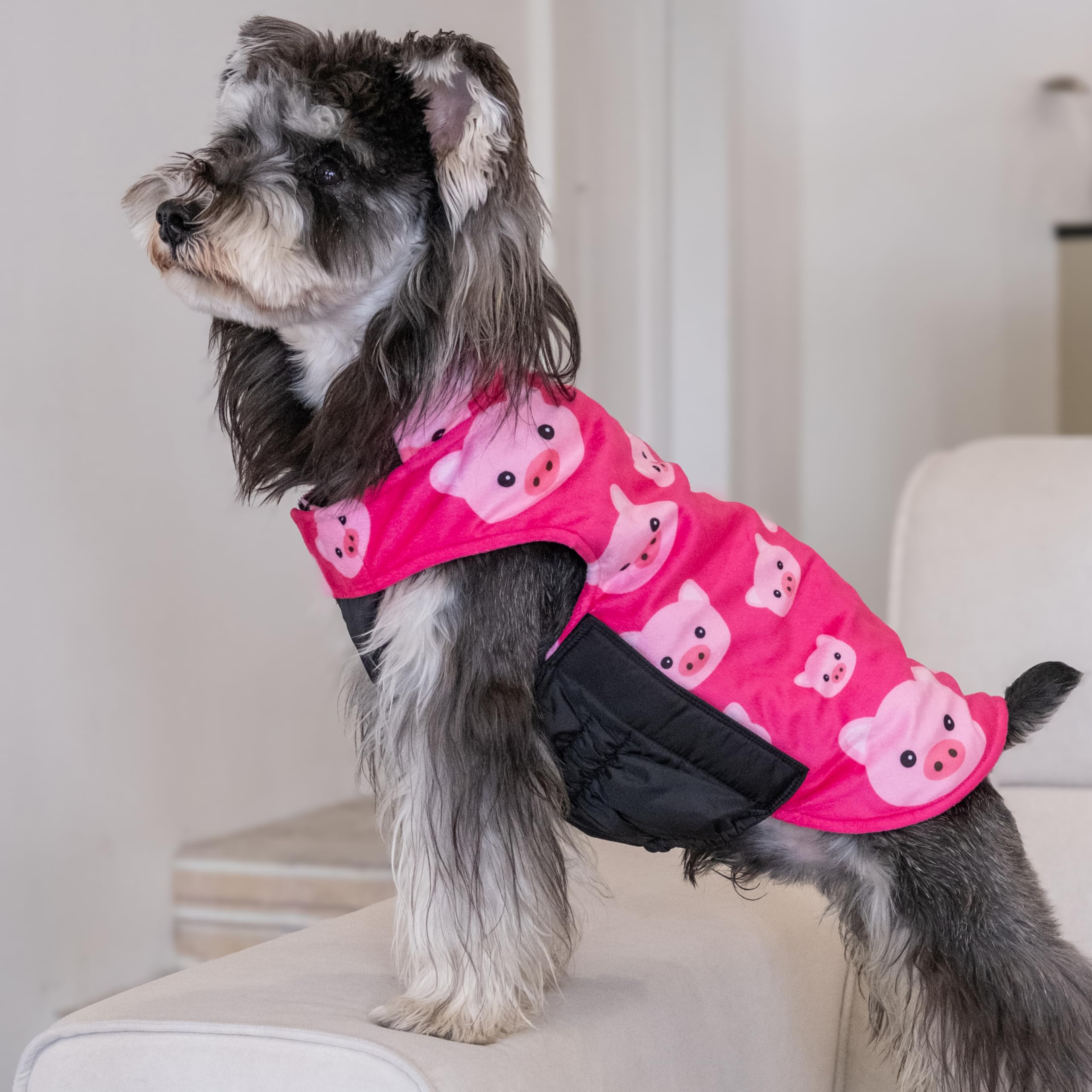CuteBone Winter Dog Coat adjustable straps ensure a secure, comfortable fit.