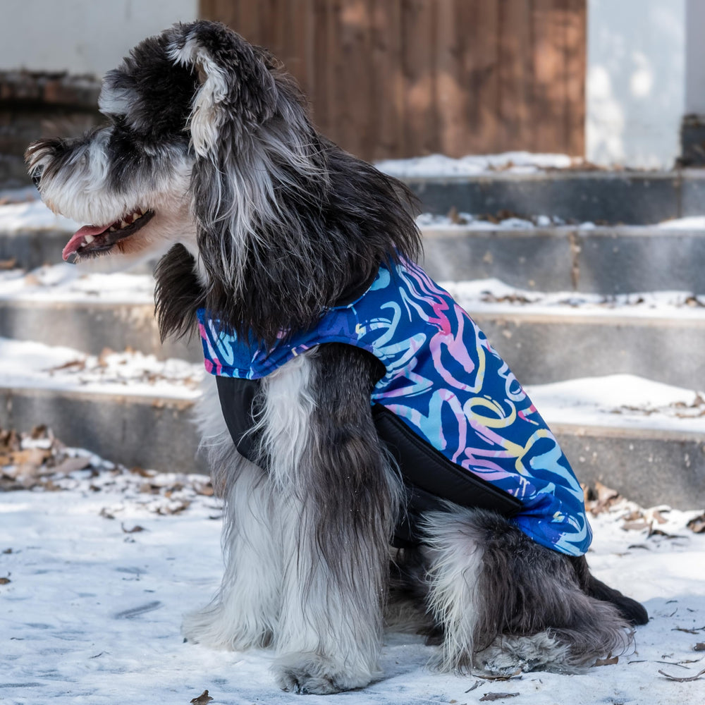CuteBone Winter Dog Coat includes leash hole for easy leash access.