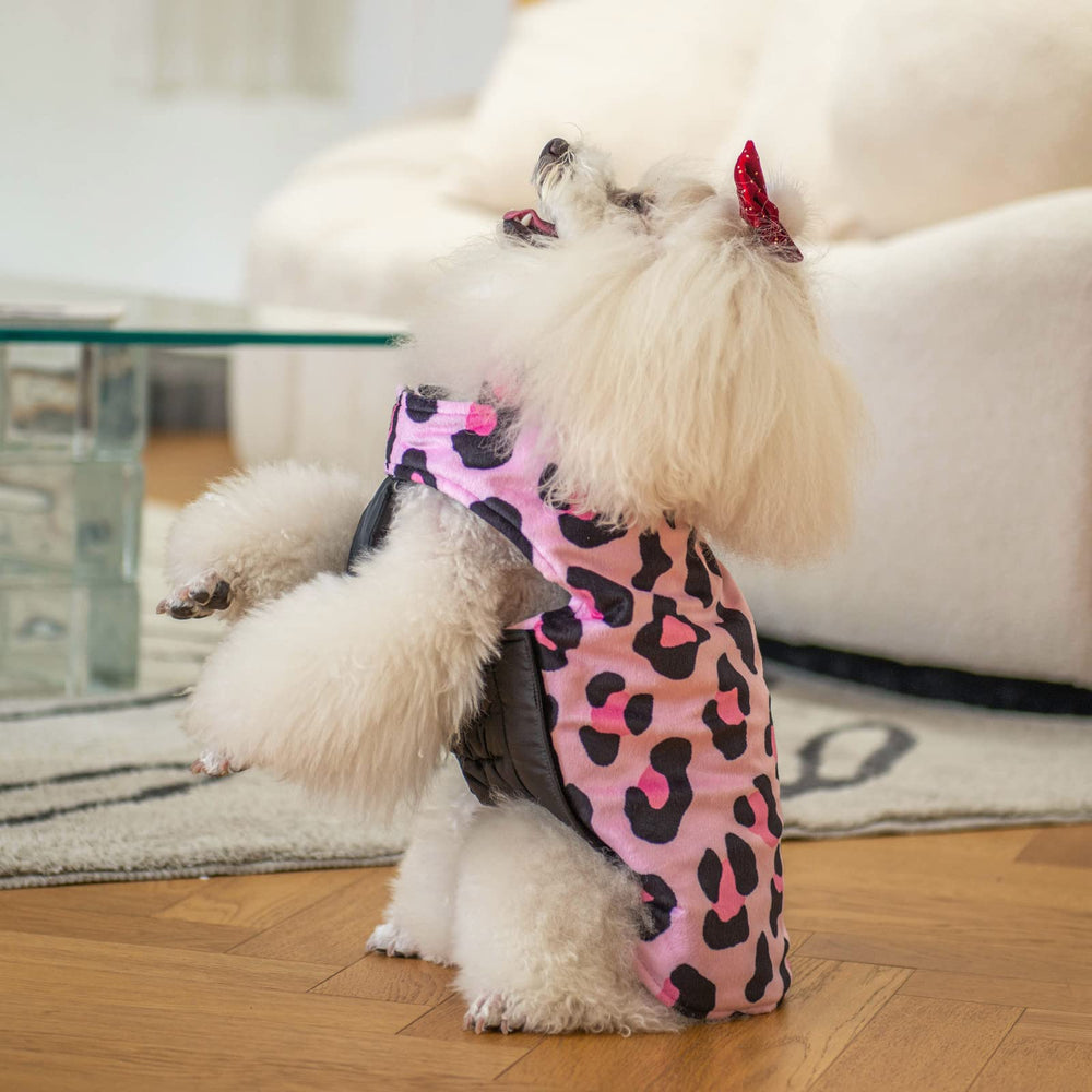 CuteBone winter dog coat leash hole access for easy control during walks