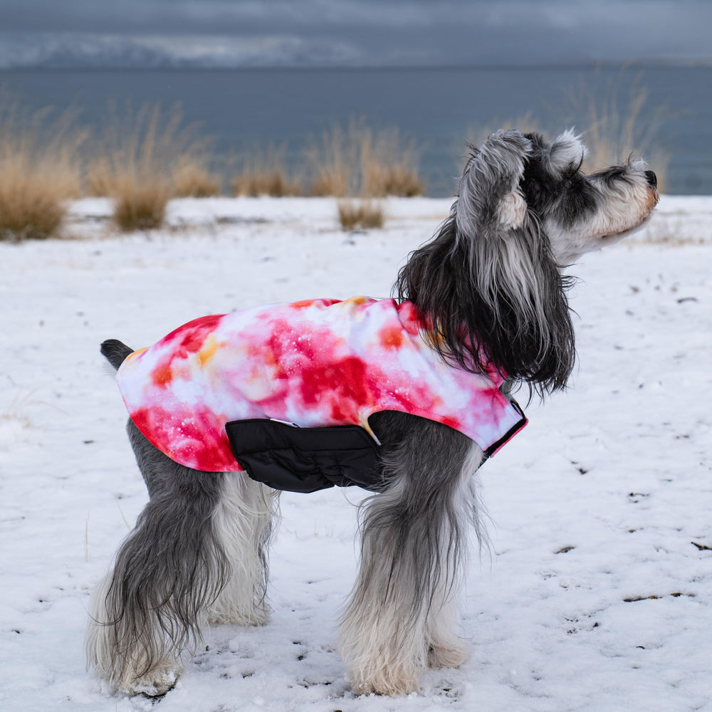 CuteBone winter dog coat size chart highlights five size options.
