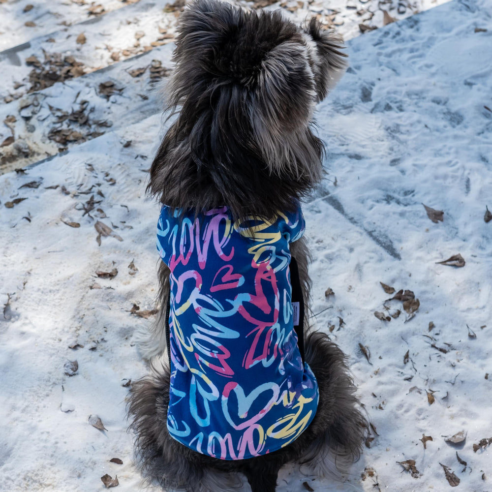 CuteBone Winter Dog Coat soft fleece lining for cozy warmth during chilly days.