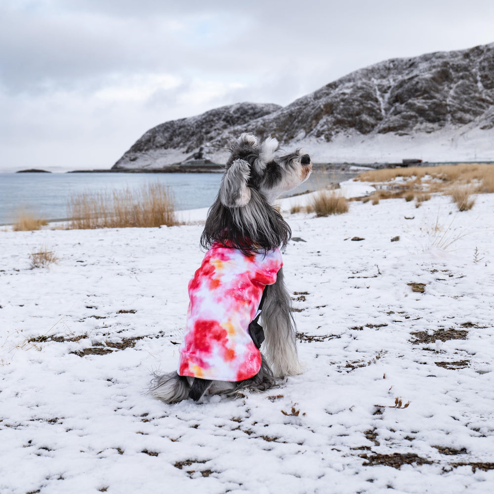 CuteBone winter dog coat with leash hole for easy outdoor walks.