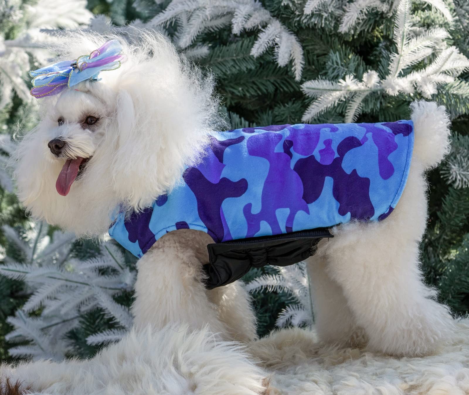 CuteBone winter dog jacket high collar shields neck during brisk walks.