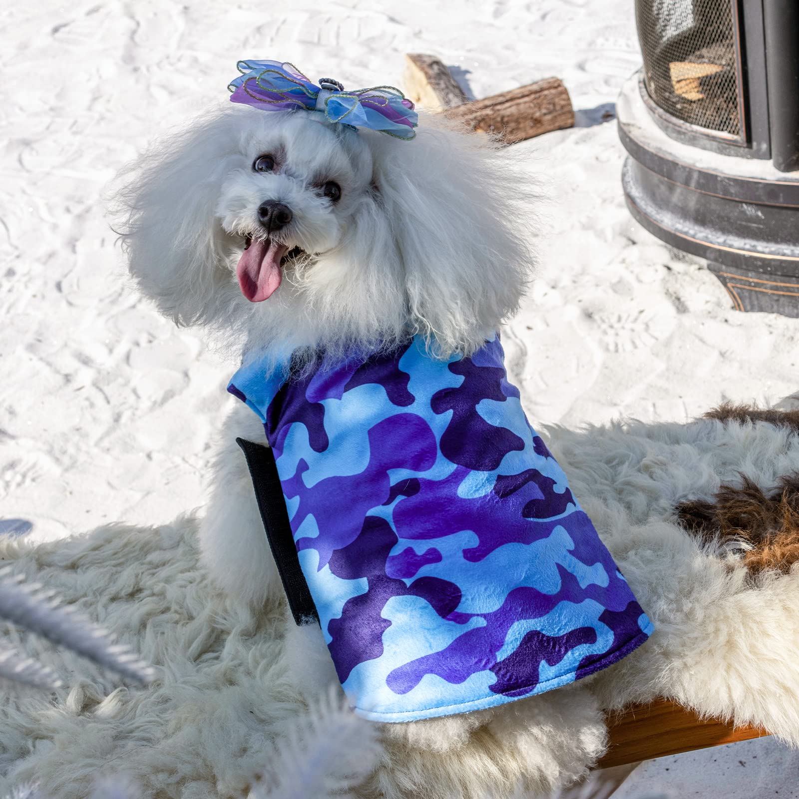 CuteBone winter dog jacket leash hole access for convenient outdoor walks.