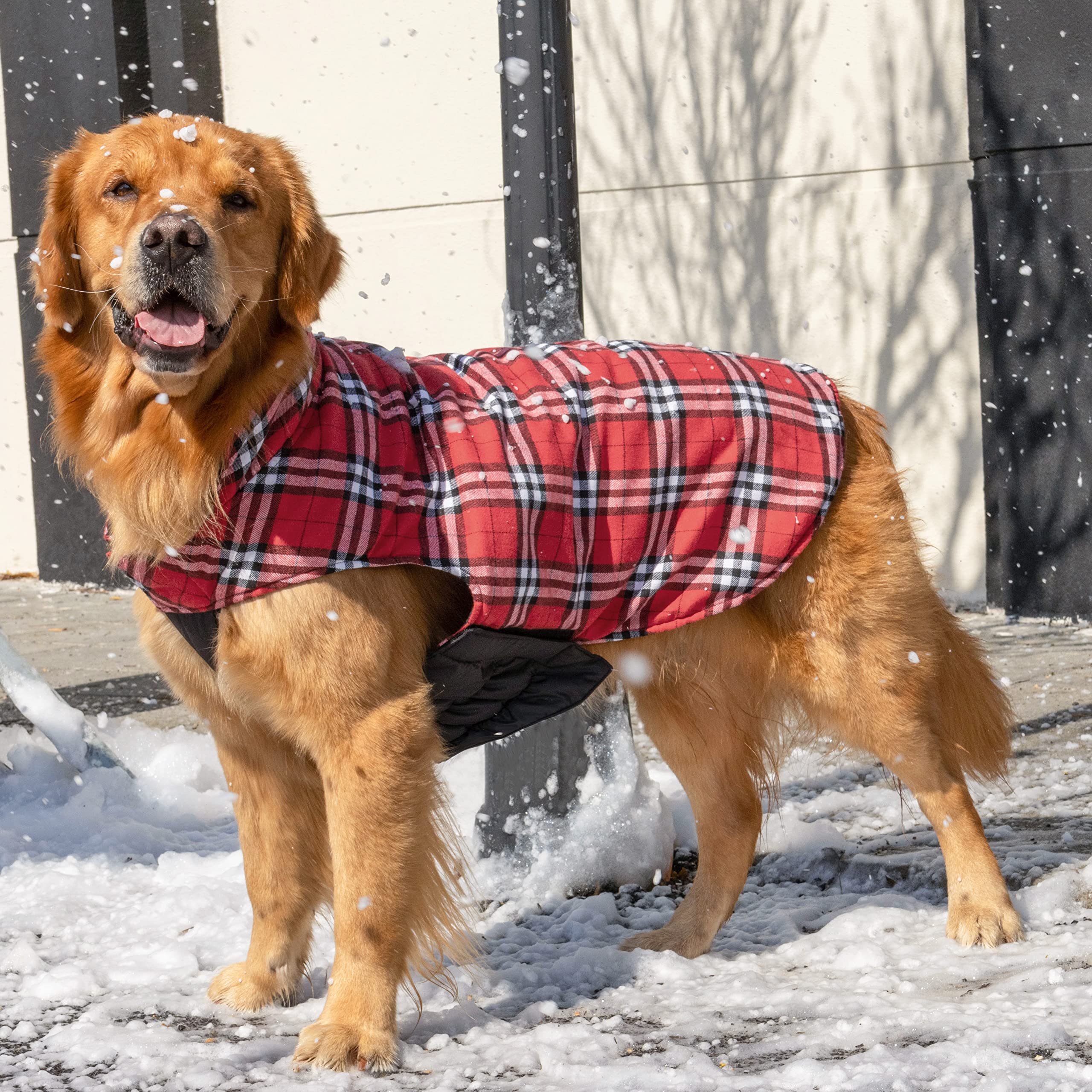 Leash hole design allows easy leash attachment without removing coat