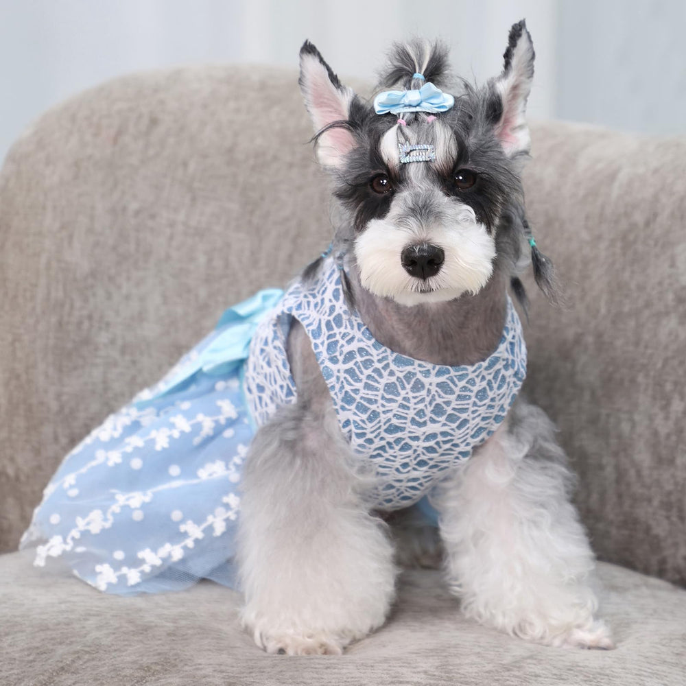 CuteBone Yorkie Chihuahua fit guide means better sizing and happier daily wear.