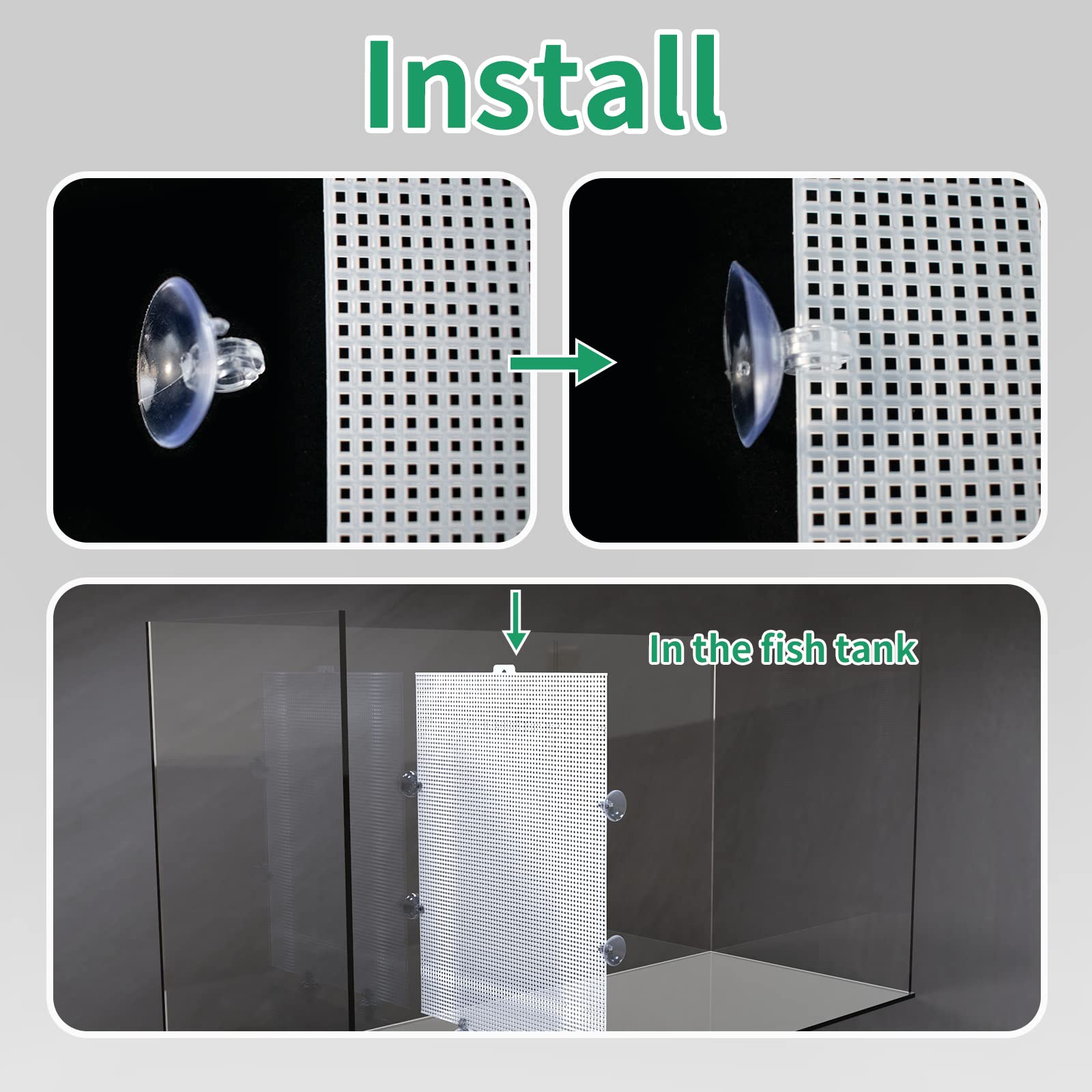 Cuyacili in-tank setup with DIY aquarium divider demonstrates flexible placement using suction cups.
