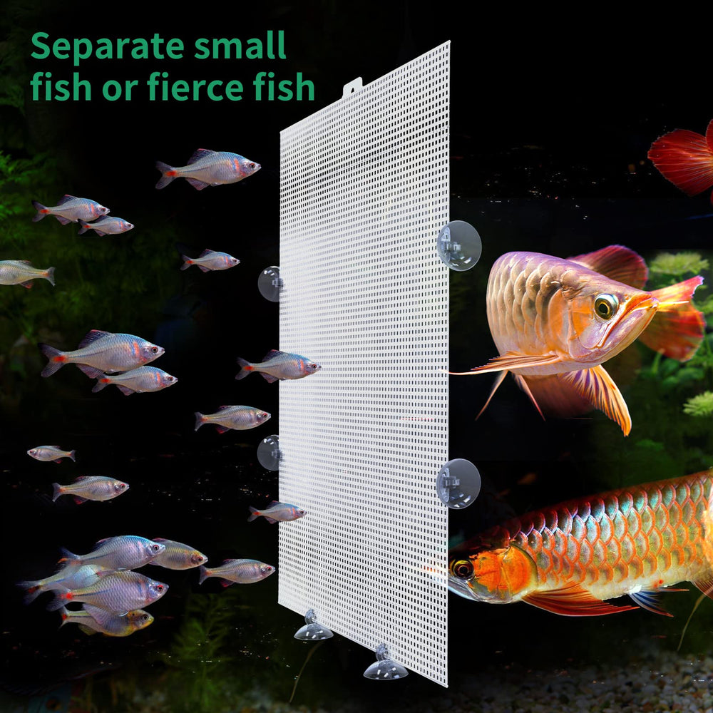 Cuyacili fish tank divider with 12 suction cups demonstrates secure fixation for versatile layouts.