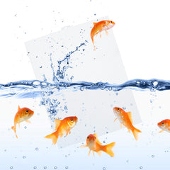 Cuyacili plastic grid divider cuttable feature enables precise sizing for your aquarium.