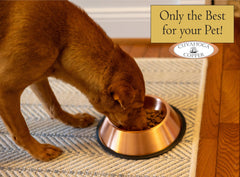 Cuyahoga Copper pure pet bowl dog and cat use demonstrates versatile indoor and outdoor feeding.