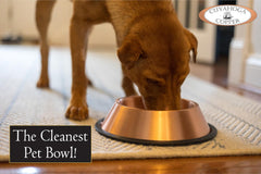 Cuyahoga Copper pure pet bowl side profile highlights sturdy base to reduce spills.