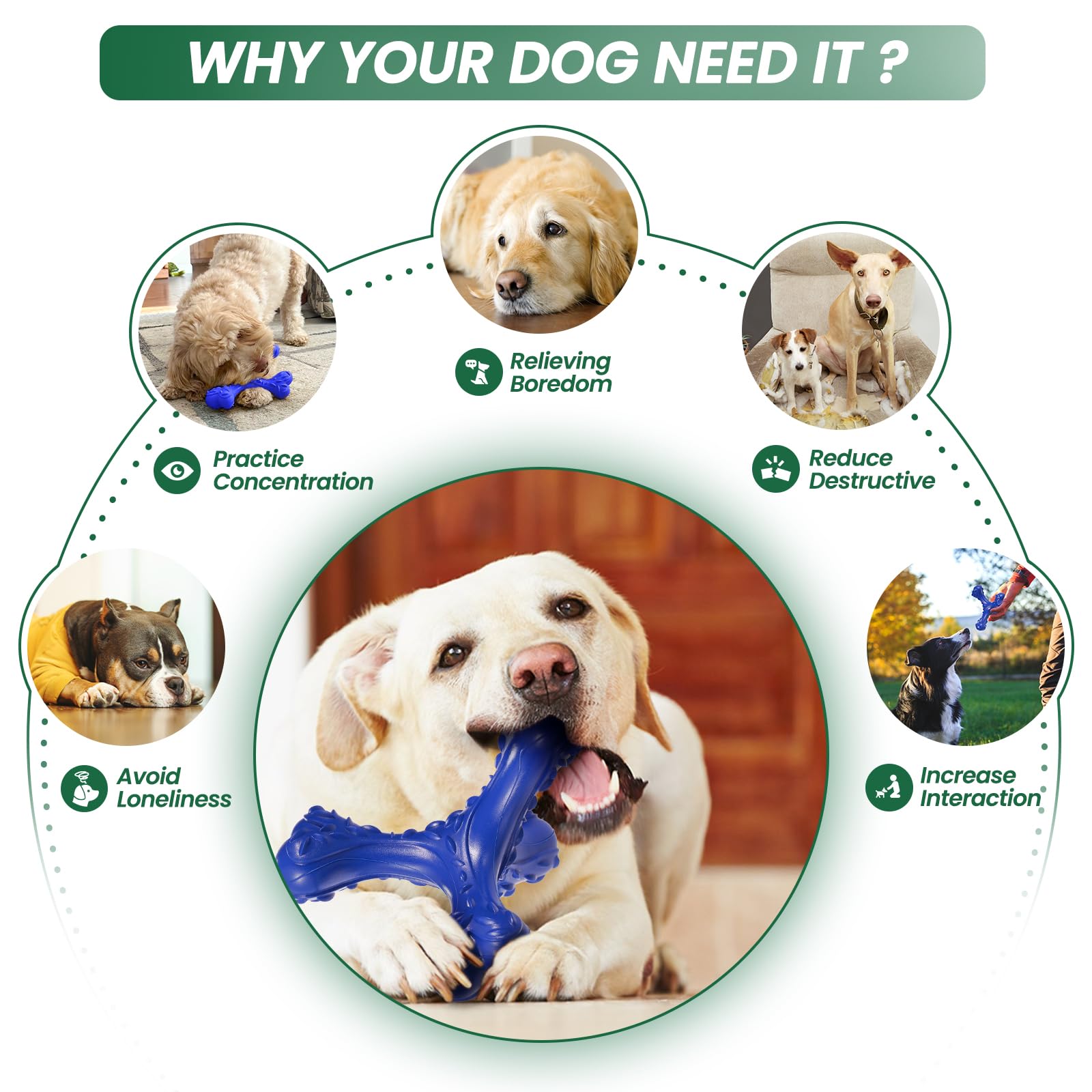 CVALIN large-breed toy for bonding during indoor-outdoor play.