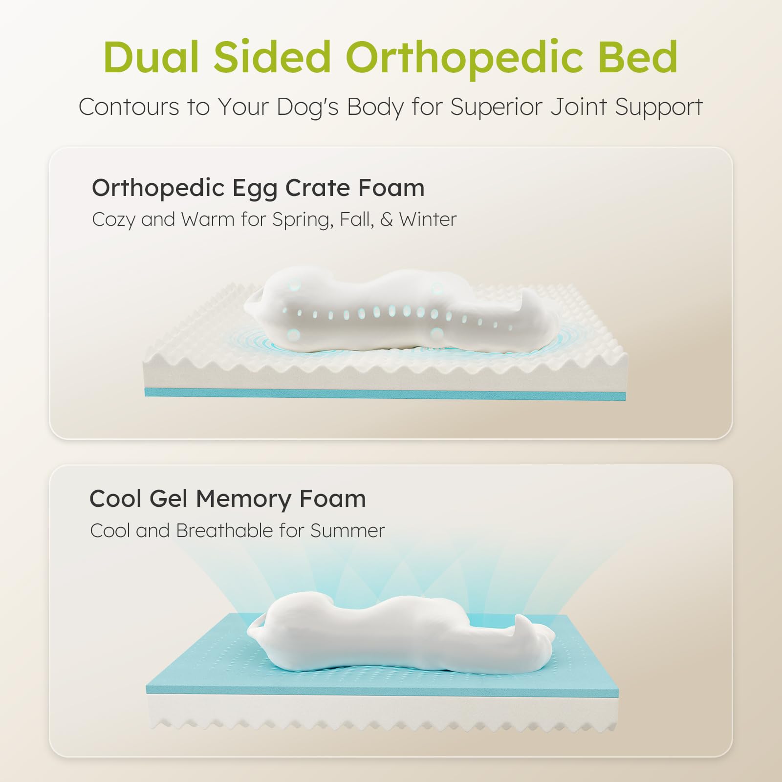 CWAWZ Jumbo Dog Bed side profile highlights generous width for big dogs.