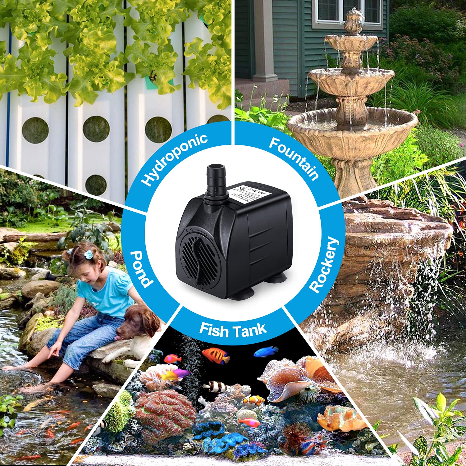 CWKJ packaging shows 2 pumps and 6 nozzles for versatile setups.