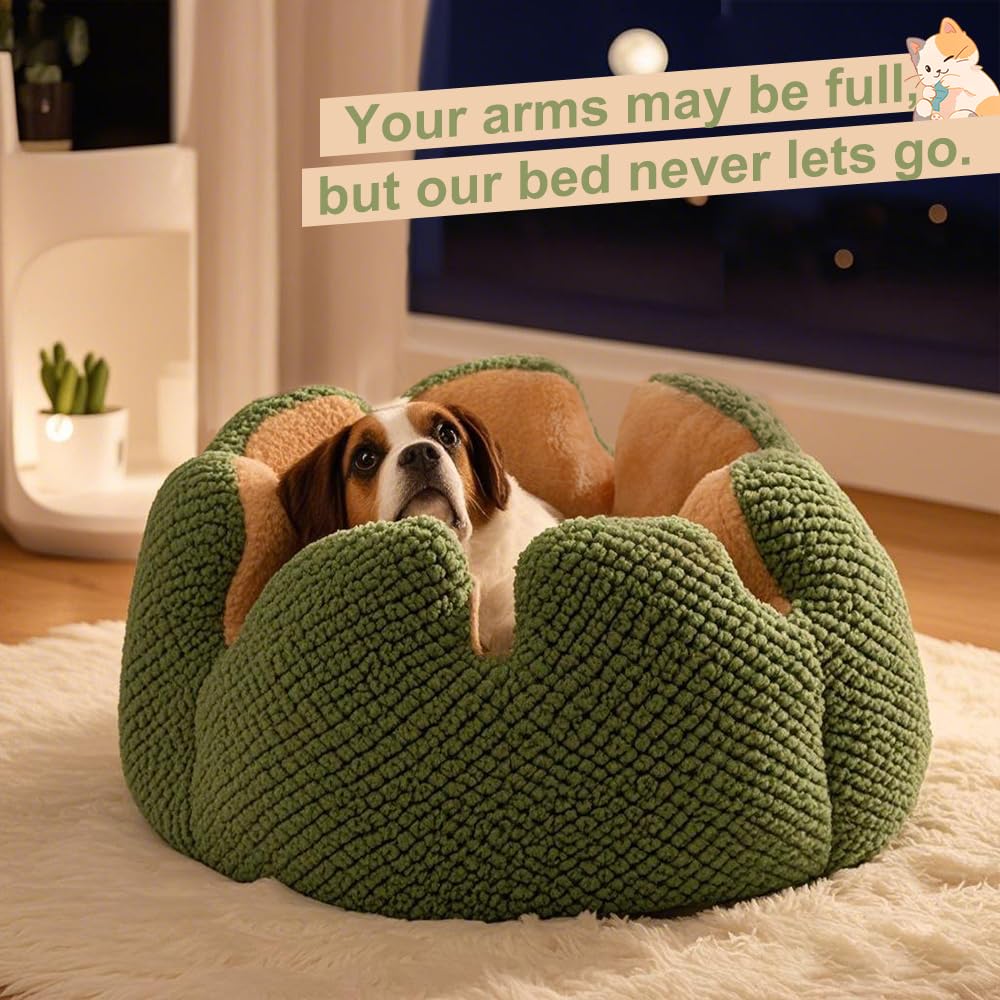 CWV Cute Cat Beds cozy corner setup highlights cactus motif