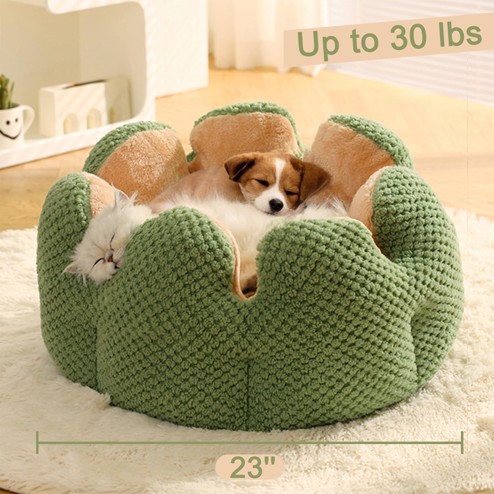 CWV Cute Cat Beds doubles as decor in modern, farmhouse, or Nordic interiors