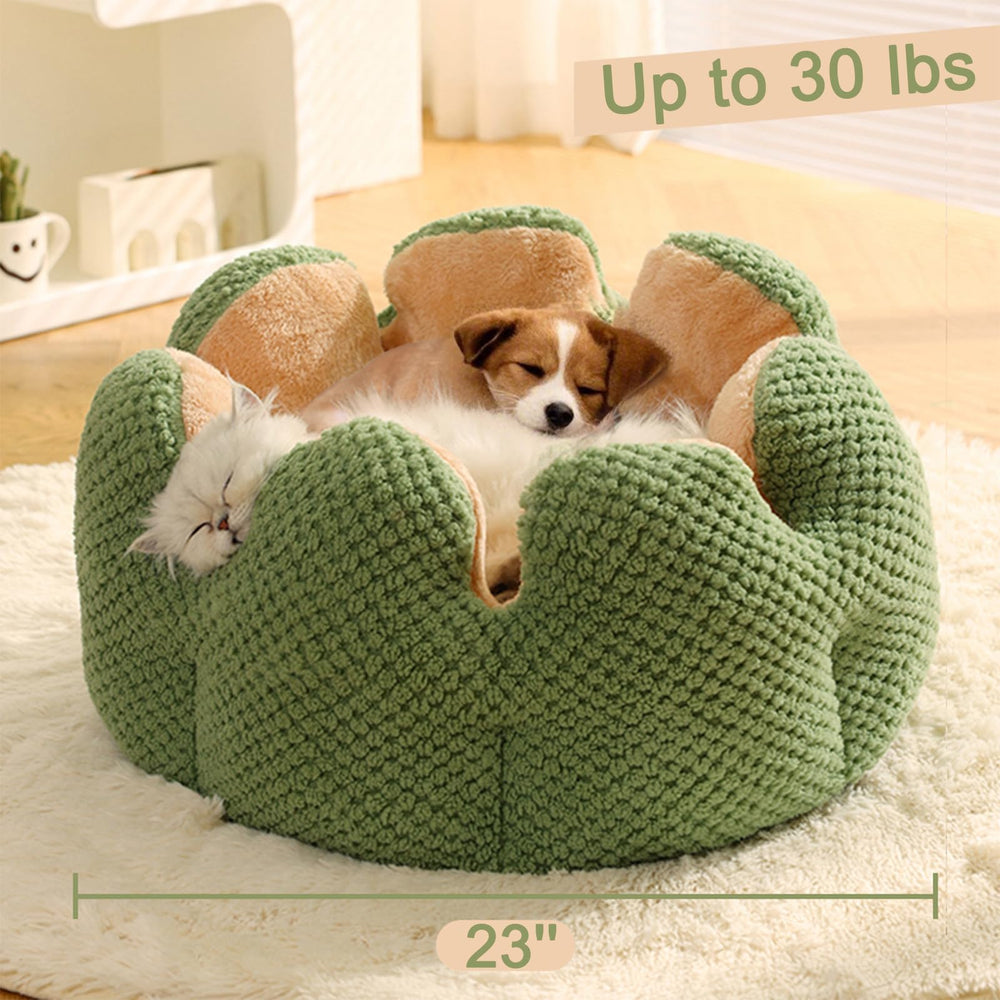 CWV Cute Cat Beds doubles as decor in modern, farmhouse, or Nordic interiors