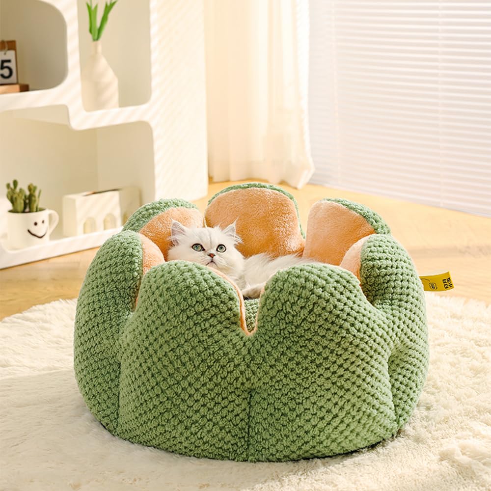 CWV Cute Cat Beds looks great on social media with playful cats