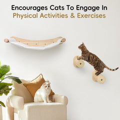 CYDDUP cat sisal posts—durable scratching surfaces for healthy play