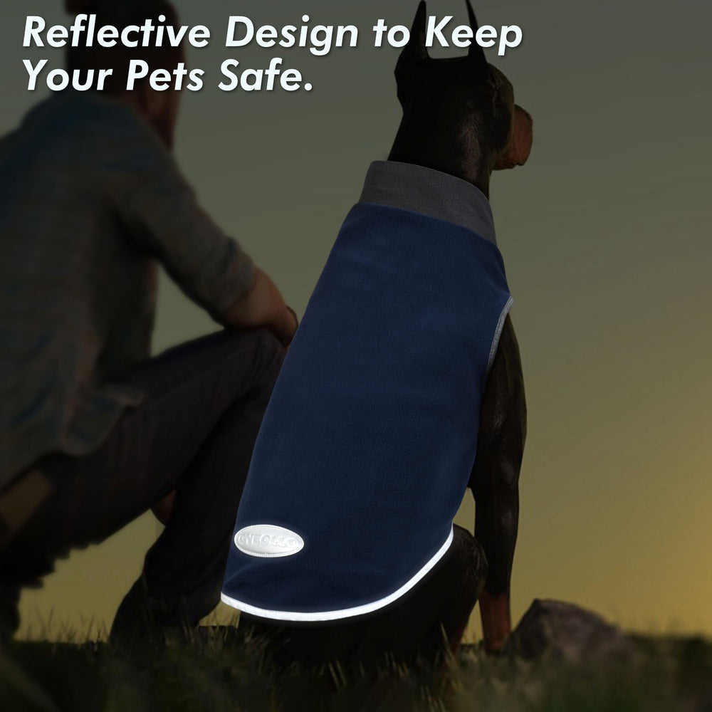 Cyeollo 2-pack dog sweaters on an outdoor outing, showcasing easy-wear design.