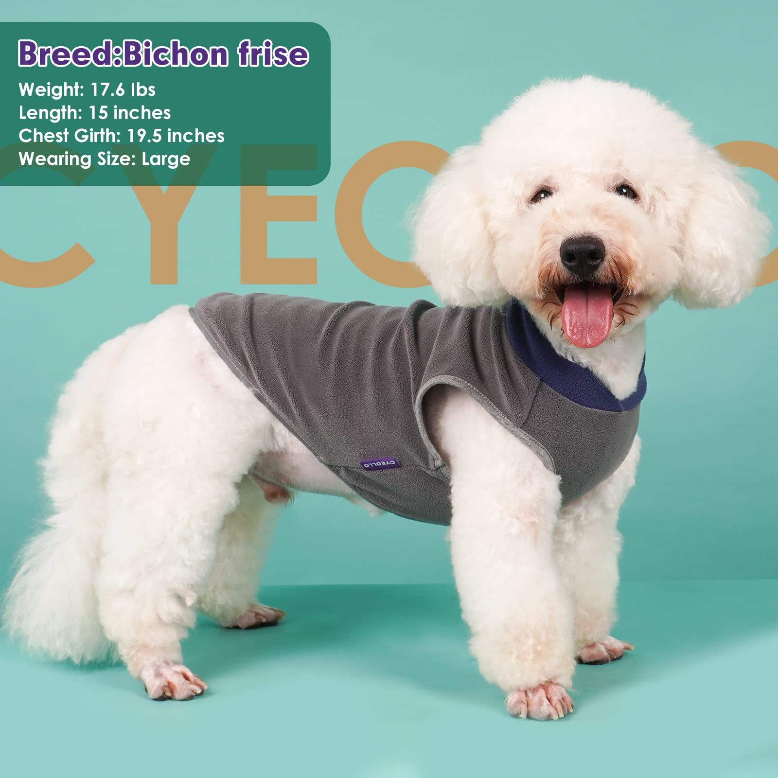 Cyeollo dog sweater with reflective stripe detail for nighttime visibility during walks.